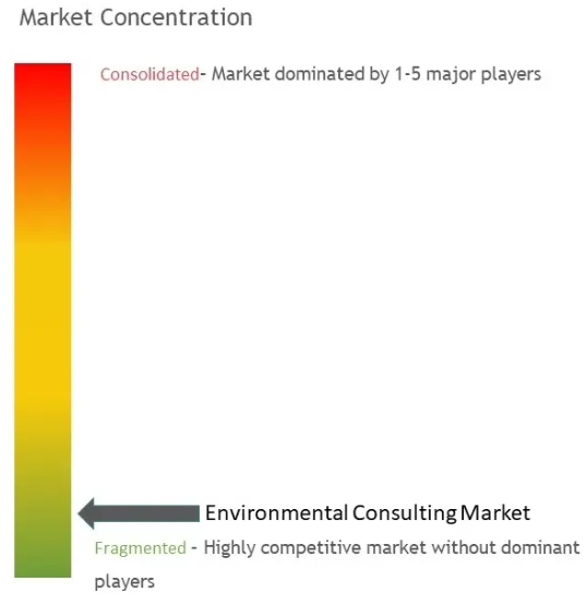 Environmental Consulting Market Concentration